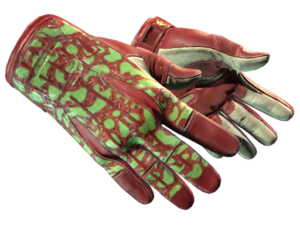 ★ Sport Gloves | Bronze Morph (Factory New)
