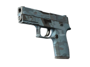 P250 | Forest Night (Field-Tested)