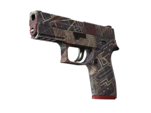 P250 | Facility Draft (Minimal Wear)